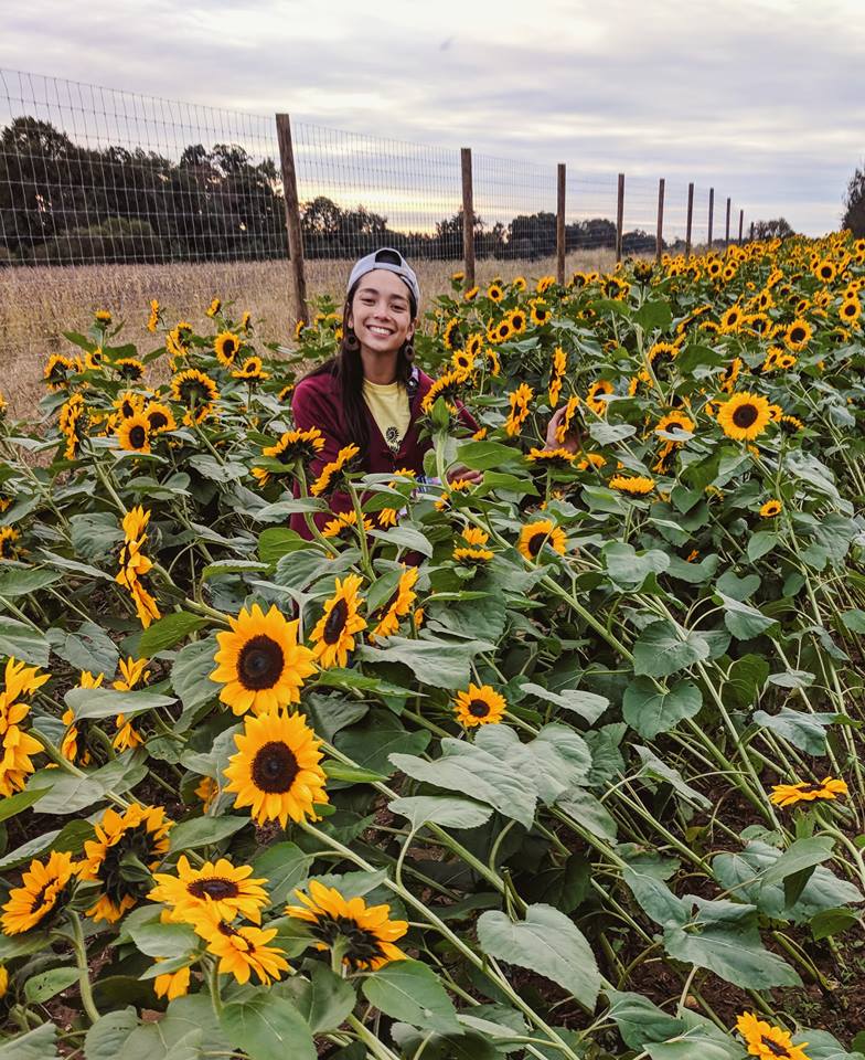 44253186_258520891672828_718078696069529600_n