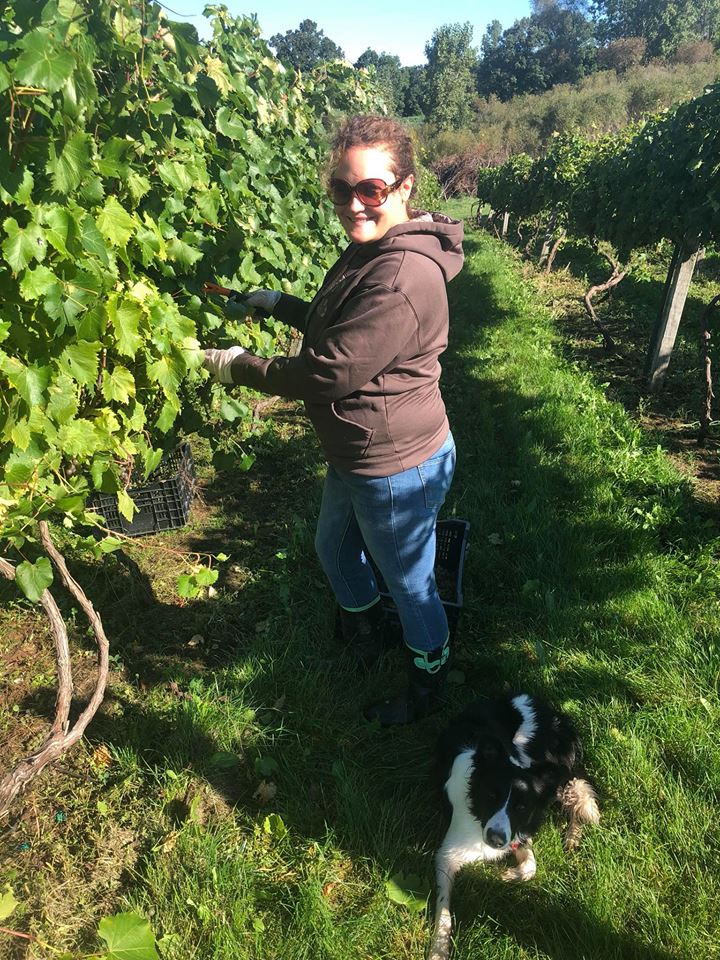 42393910_1065844950241625_2085589655981391872_n