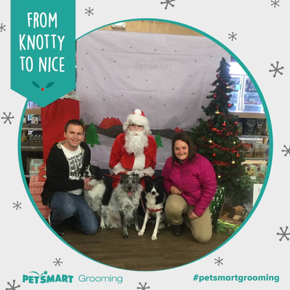 48281780_290157938308815_8577471571864584192_n