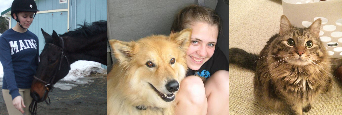 mccutcheonanimals_tangocubbymango