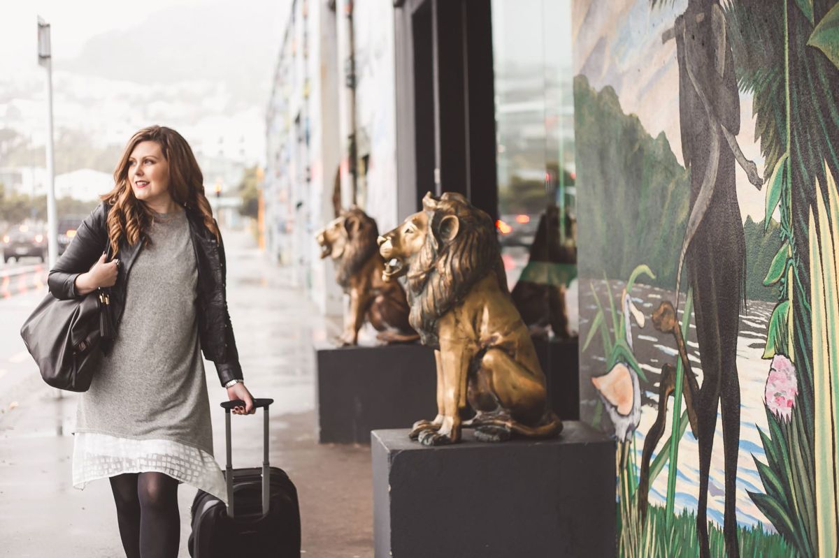 52495929_2446995271994488_3479493039603318784_n