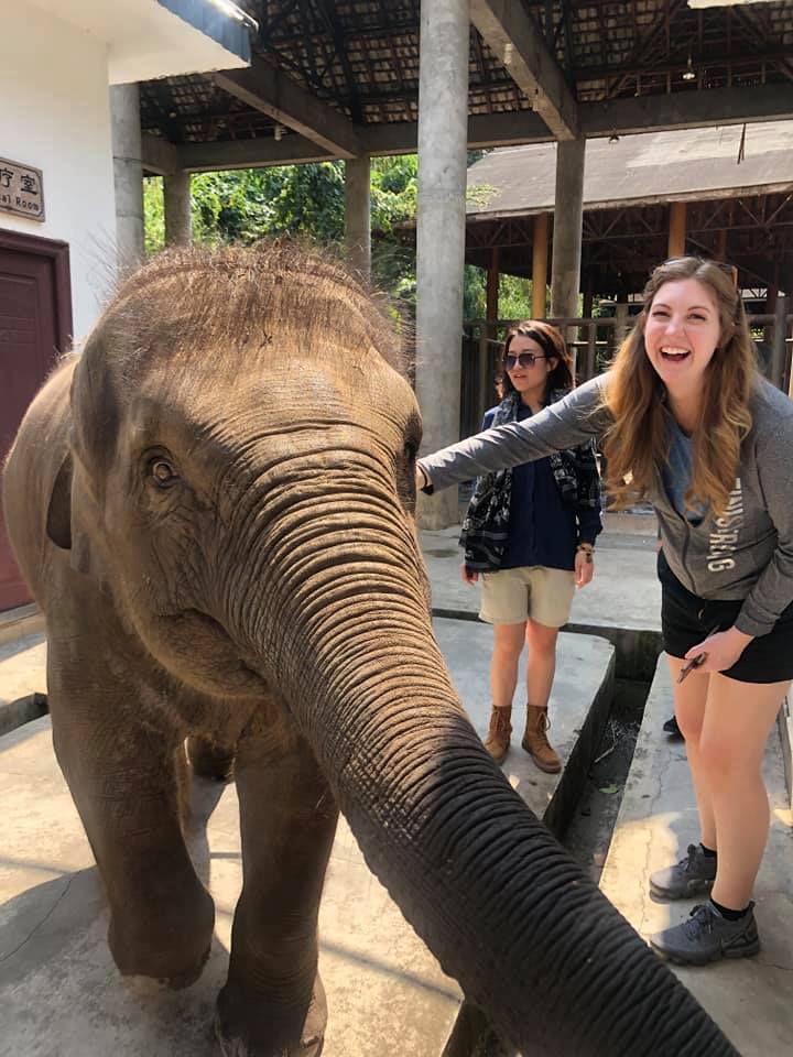 78144320_1240286722847227_5121462644636647424_n