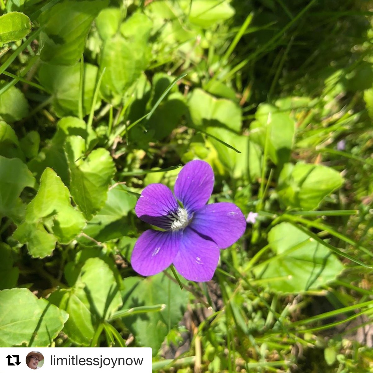 BEF1E561-5D6A-42F3-8F4D-2B9CCA83EE84